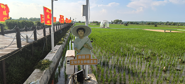 微信图片_2026-07-21_151837_319.png